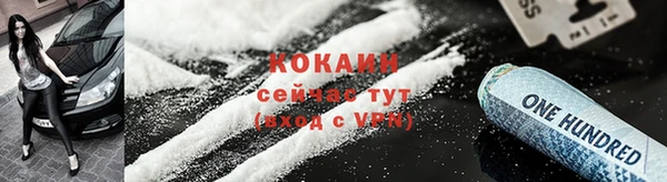 сатива Абинск