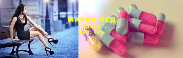 сатива Абинск