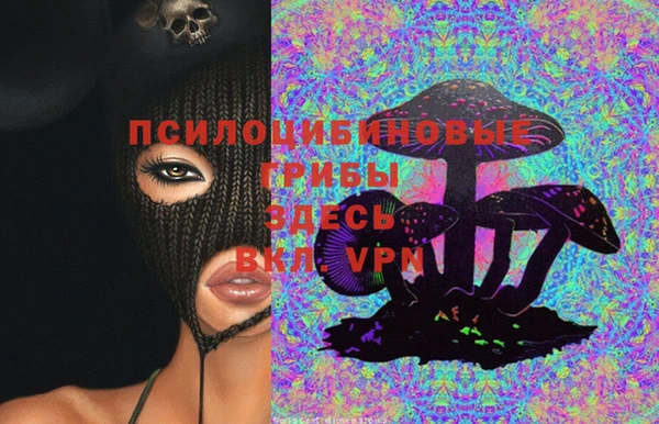 наркотики Алексин