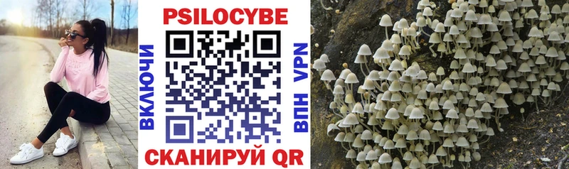 hydra зеркало Вичуга Галлюциногенные грибы Cubensis